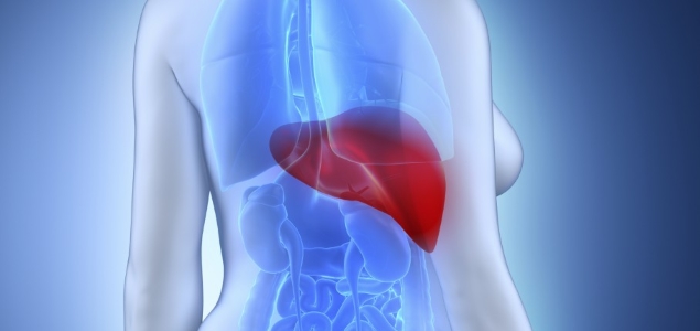 ¿Cómo prevenir la Hepatitis?