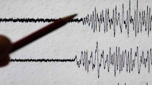 Sismo Fastmed